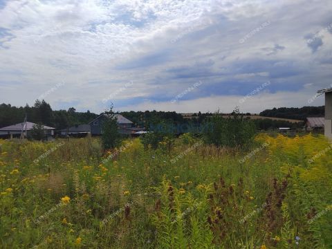derevnya-shumilovo-bogorodskiy-municipalnyy-okrug фото