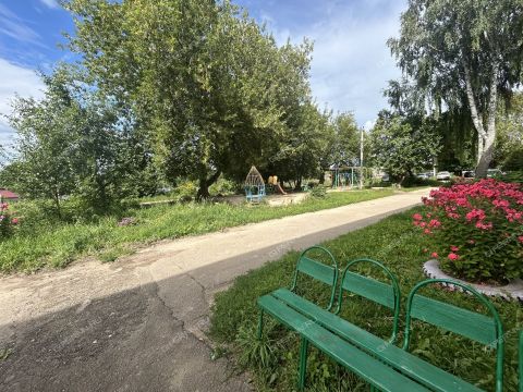 1-komnatnaya-selo-shava-kstovskiy-rayon фото