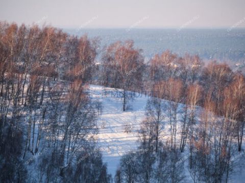 derevnya-shvariha-bogorodskiy-municipalnyy-okrug фото