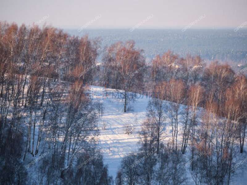 земельный участок 21 сотка Дорожная улица деревня Швариха