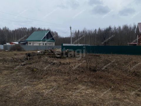 derevnya-pikino-gorodskoy-okrug-bor фото