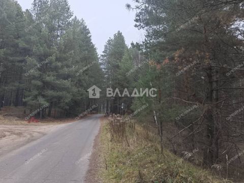 derevnya-ryabinki-gorodskoy-okrug-bor фото