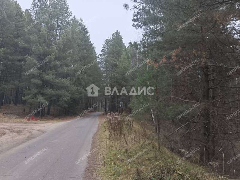 земельный участок 19 соток деревня Рябинки