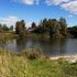 земельный участок 15 соток Берёзовая улица село Елховка