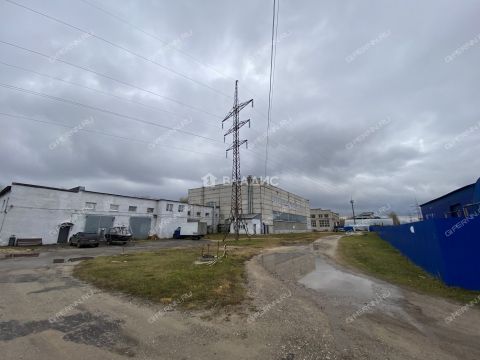 gorod-bor-gorodskoy-okrug-bor фото