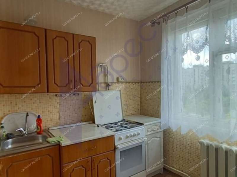 однокомнатная квартира на проспекте Ленина дом 30  к4