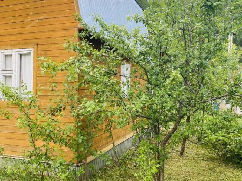 дача на СНТ Стройгазовец село Каменки
