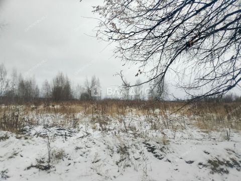 selo-bezvodnoe-kstovskiy-rayon фото