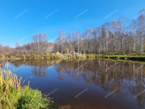 dom-derevnya-obmelyuhino-gorodskoy-okrug-bor фото