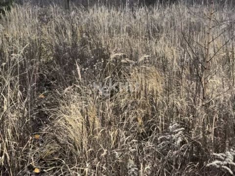 selo-bezvodnoe-kstovskiy-rayon фото