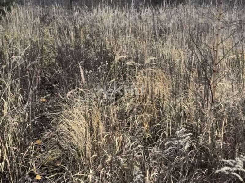 земельный участок 12,9 сотки село Безводное