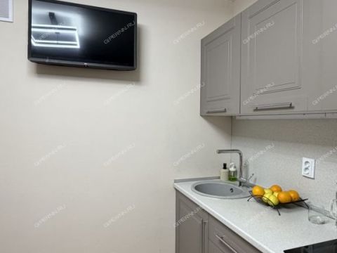 2-komnatnaya-ul-2-ya-oranzhereynaya-d-4a-k1 фото