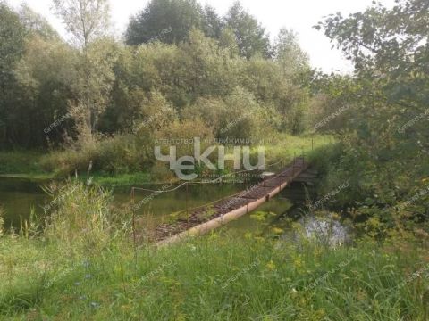 derevnya-palcino-bogorodskiy-municipalnyy-okrug фото