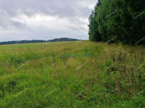 derevnya-timonino-bogorodskiy-municipalnyy-okrug фото