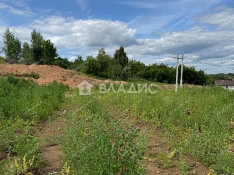 derevnya-afonino-kstovskiy-rayon фото