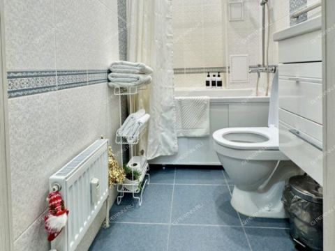 1-komnatnaya-ul-timiryazeva-d-35 фото