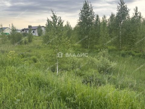 sherstnevo-gorodskoy-okrug-bor фото