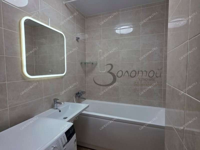 трёхкомнатная квартира на Русской улице улице дом 17 деревня Анкудиновка