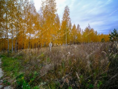 dom-selo-bezvodnoe-kstovskiy-rayon фото