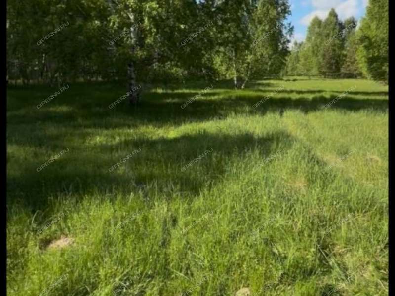 земельный участок 15 соток Заводская улица село Каменка