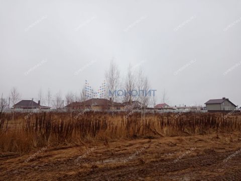 gorod-bogorodsk-bogorodskiy-municipalnyy-okrug фото