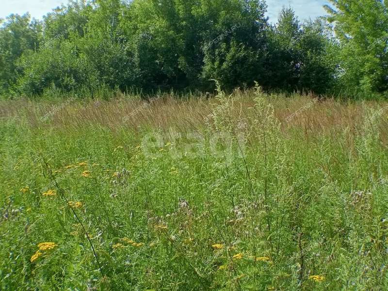 земельный участок 13,1 сотки улица Черкасский Порядок село Афанасьево