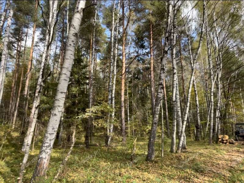 земельный участок под коттеджный посёлок в Лысковском районе Нижегородской области