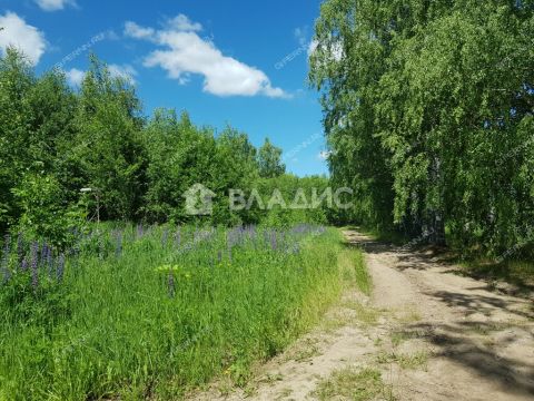 selo-dudenevo-bogorodskiy-municipalnyy-okrug фото