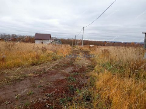 derevnya-burcevo-bogorodskiy-municipalnyy-okrug фото