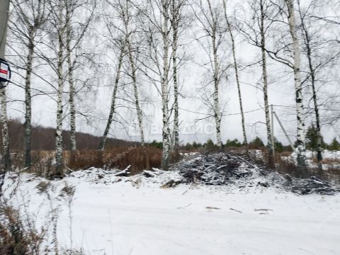 selo-bezvodnoe-kstovskiy-rayon фото