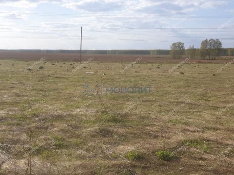 selo-afanasevo-bogorodskiy-municipalnyy-okrug фото