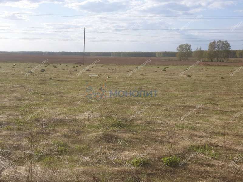 земельный участок 8,21 сотки село Афанасьево