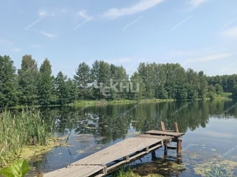 dom-derevnya-dolgusha-gorodeckiy-rayon фото