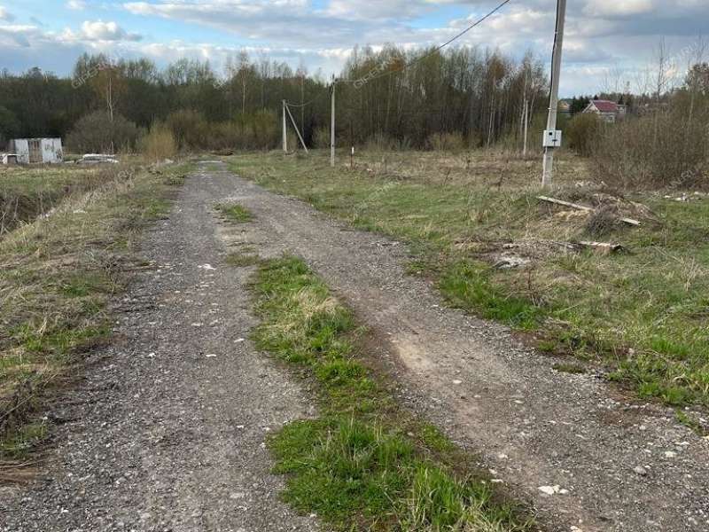 Доскино Нижегородская область фото.