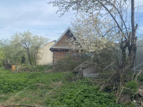 dacha-snt-druzhba-snt-druzhba фото