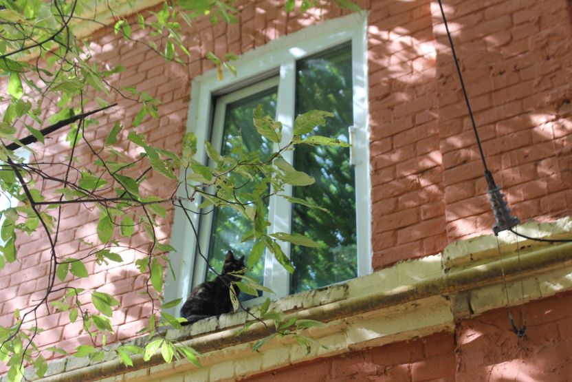 Фото: Ксения Ражева / gipernn.ru
