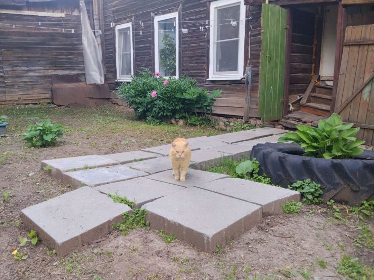 Улица Славянская. Фото: Анна Синаревская / gipernn.ru