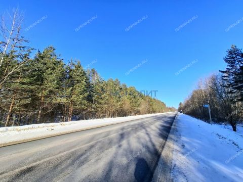 dom-derevnya-polom-semenovskiy-gorodskoy-okrug фото