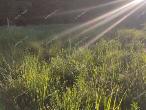 derevnya-moshkino-brilyakovskiy-selsovet-gorodeckiy-rayon фото