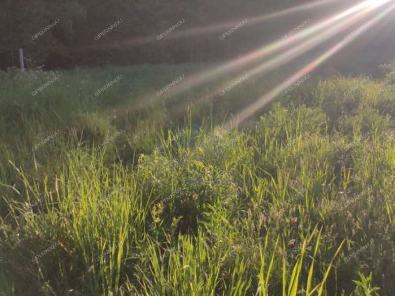 земельный участок 18 соток деревня Мошкино, Бриляковский сельсовет