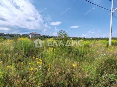 derevnya-kileley-bogorodskiy-municipalnyy-okrug фото