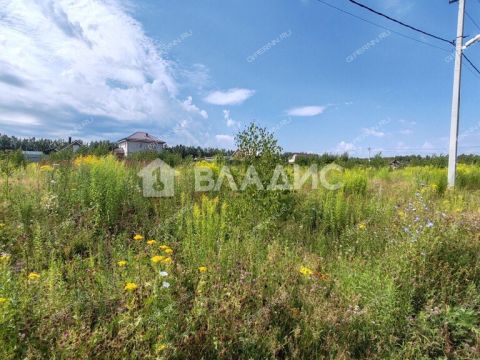 gorod-bogorodsk-bogorodskiy-municipalnyy-okrug фото