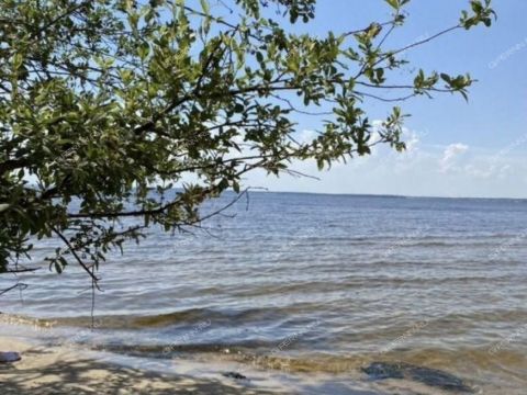 derevnya-bushnevo-gorodeckiy-rayon фото