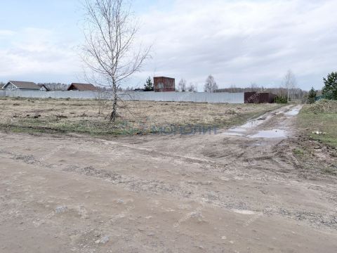 derevnya-nepecino-bogorodskiy-municipalnyy-okrug фото