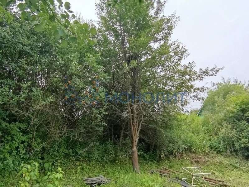 дача на СНТ Колос